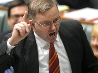 Australian PM Anthony Albanese Stands Firm in Support of National Cricket&nbsp;Teams