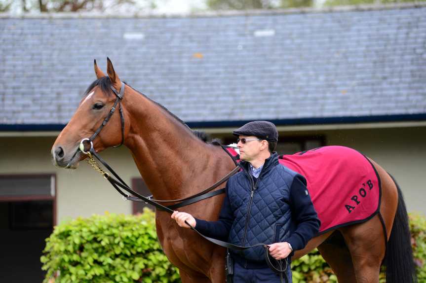 Aidan O’Brien’s Paddington Emerges as a Promising Contender for the British Trainers’&nbsp;Championship