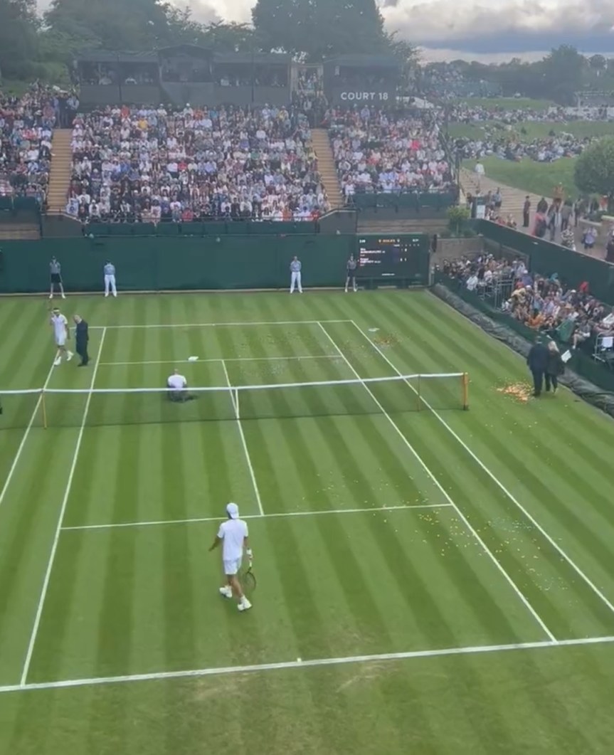 Jigsaw Fans Bewildered as Protesters Bring Unexpected Twist to&nbsp;Wimbledon