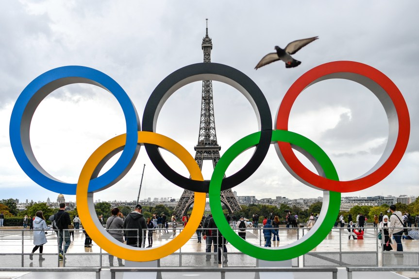 Addressing the Bedbug Outbreak in Paris Ahead of the 2024&nbsp;Olympics