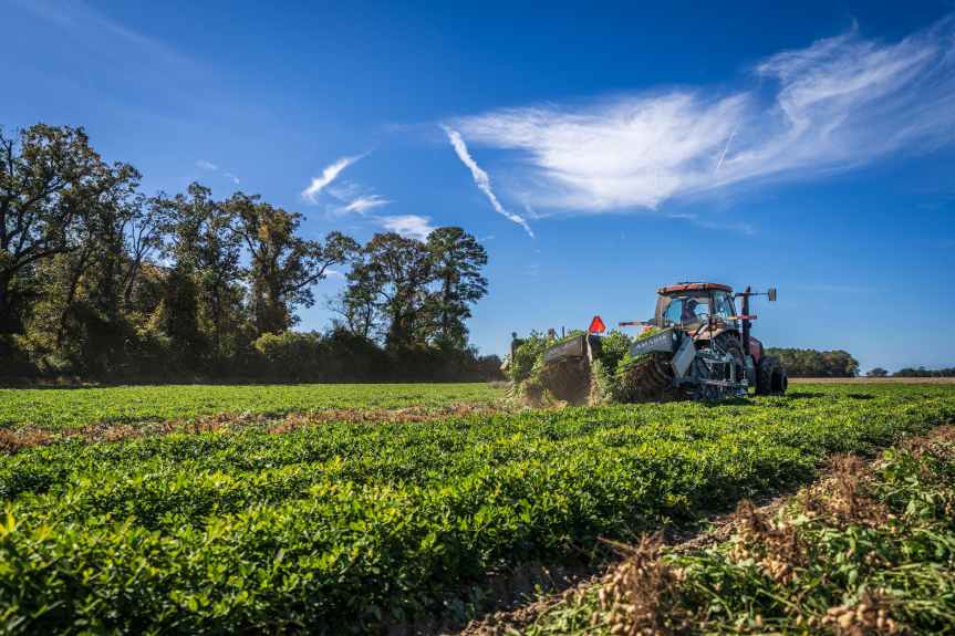 Boosting Italy’s Agricultural Sector: European Commission Approves €450 Million&nbsp;Scheme