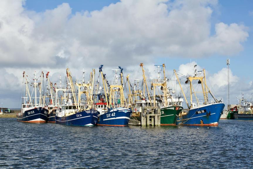 EU Council Agrees on Fishing Opportunities for&nbsp;2024
