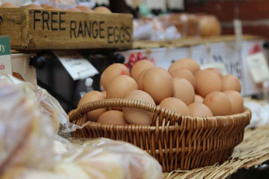 The Egg Price Controversy: An Insight into Market&nbsp;Manipulation
