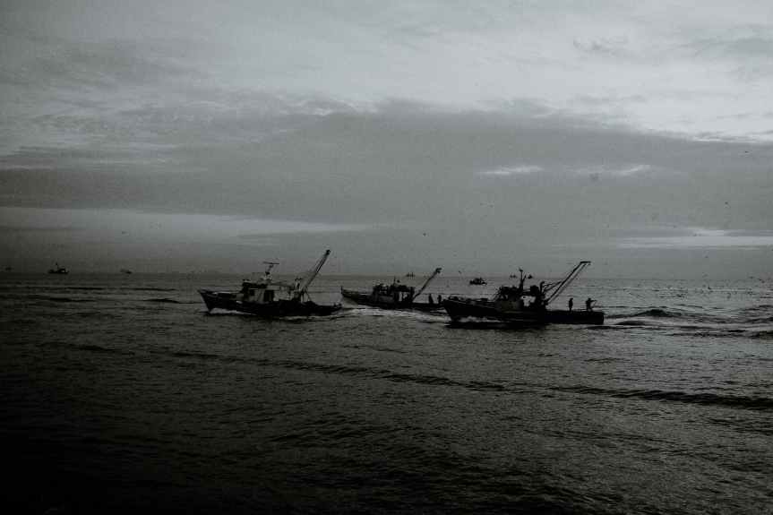 EU-UK Fishing Agreement Secures Stability and Sustainability for&nbsp;2024